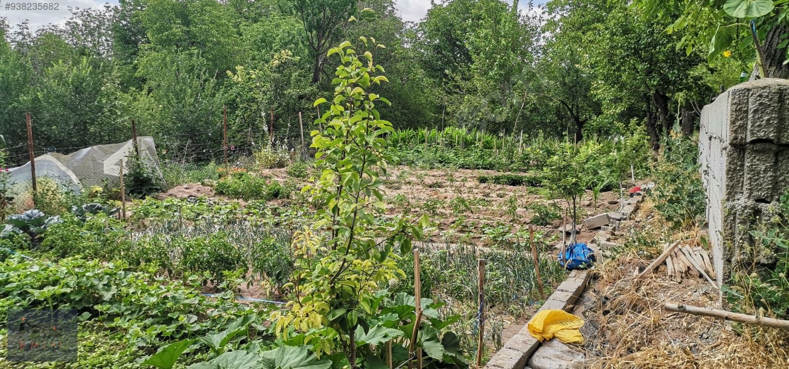 FECİR EMLAK�TAN SATILIK NAR�DA 980 M2 BAĞ VE BAĞ EVİ Satılık Arsa
