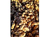 Used & Brand New Items / Foods & Feed / Dried Nuts