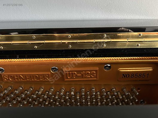 İkinci El ve Sıfır Alışveriş / Müzik / Müzik Aletleri / Tuşlu Çalgılar / Piyano