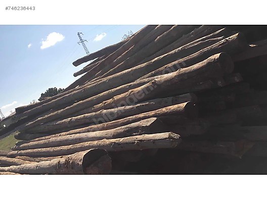 İkinci El ve Sıfır Alışveriş / Bahçe & Yapı Market / Toplu Satış