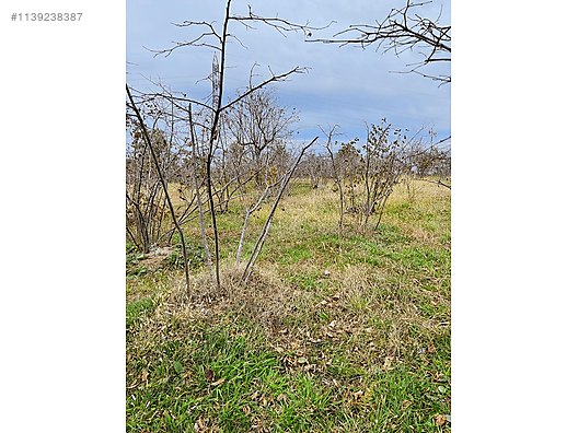 Gökdemir gayrimenkulden satılık bahce veye arsa #1139238387