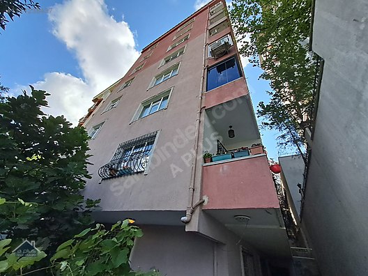 en güzel kadın resmi