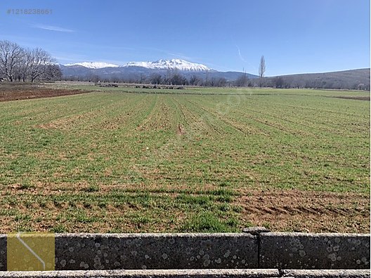 ATABEY ONAÇDA 3.651m2 KUPON TARLA #1218238661