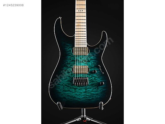 ESP Elektro Gitar