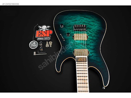 ESP Elektro Gitar