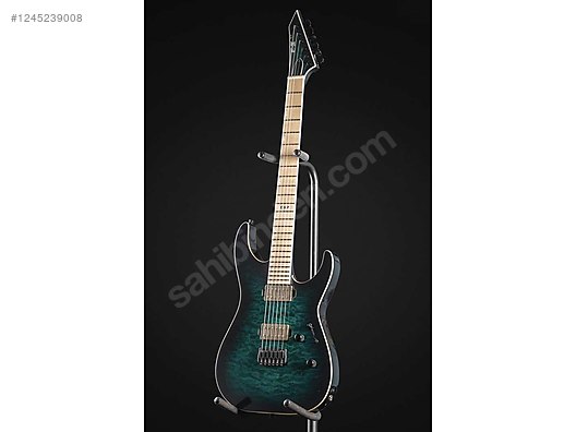 ESP Elektro Gitar