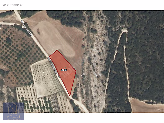 ATLAS GYD'DEN SATILIK TARLA FIRSATI #1283239145