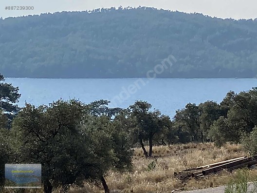 Deniz Ve Doga Manzarali Satilik Tarla Akbuk Mugla Satilik Arsa Ilanlari Sahibinden Com Da 887239300