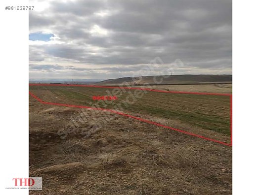 kayseri develi resadiye mah satilik tarla komisyon yok satilik arsa ilanlari sahibinden com da 981239797