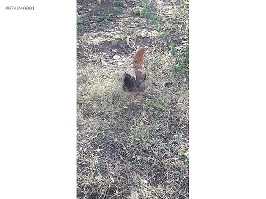 Wmhtjpcw 9ulrm Wmhtjpcw 9ulrm