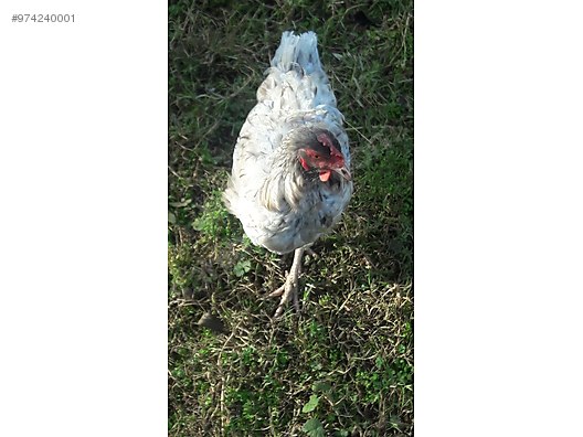 Wmhtjpcw 9ulrm Wmhtjpcw 9ulrm