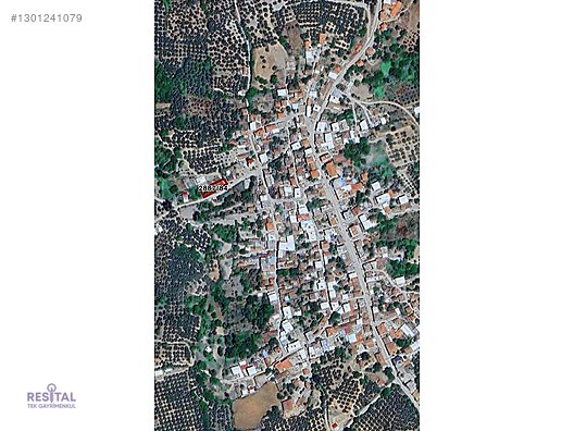 MUDANYA YALIÇİFTLİK KÖYİÇİ 407 M2 MÜSTAKİL TAPU SATILIK BAHÇE