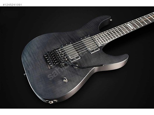 ESP Elektro Gitar