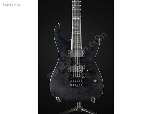 ESP Elektro Gitar