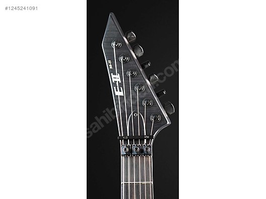 ESP Elektro Gitar