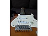 Squier Elektro Gitar