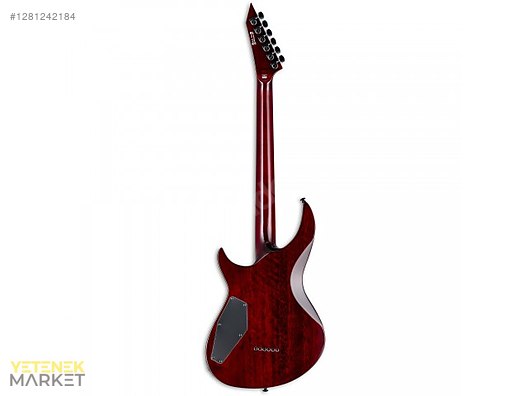 ESP Elektro Gitar