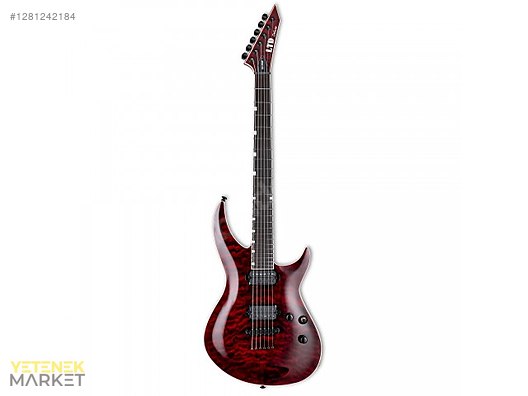 ESP Elektro Gitar