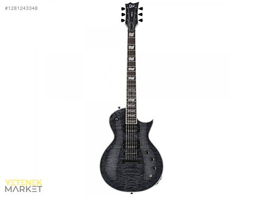 ESP Elektro Gitar