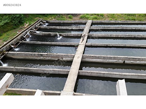 satilik alabalik ciftligi sahibinden comda 909243824