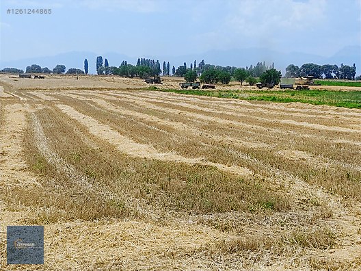 ÖZPINAR,DAN KİSECİK SATILIK TARLA 17 871 M2 BOZKIR YOLU 1 KM #1261244865