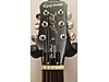 Epiphone Elektro Gitar