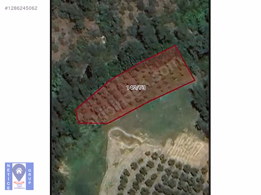 Bursa Mudanya İpekyayla yatırımlık Zeytinlik #1286245062