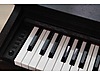 Used & Brand New Items / Music / Musical Instruments / Keyboard Instruments / Piano