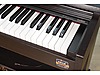 Used & Brand New Items / Music / Musical Instruments / Keyboard Instruments / Piano