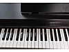 Used & Brand New Items / Music / Musical Instruments / Keyboard Instruments / Piano