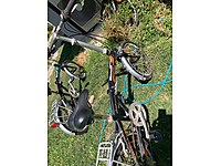 Bianchi Katlanır Şehir Bisikleti