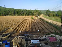 koyler satilik arsa ilanlari ve fiyatlari sahibinden com da