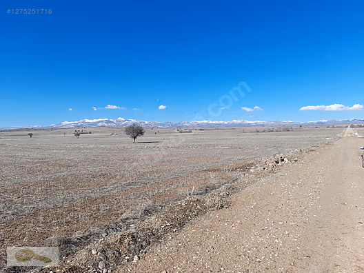 AKÖREN TÜLCE DE SATILIK 4445M2 MÜSTAKİL TARLA #1275251716