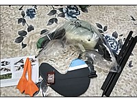 Uzaktan kumandalı motorlu mühre