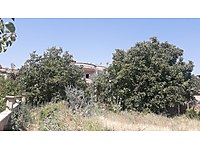 Yahyali Satilik Arsa Ilanlari Ve Fiyatlari Sahibinden Com Da