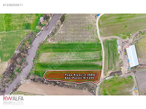 NİLÜFER ÇAYLI DA 3250 M2 FIRSAT ARAZİ