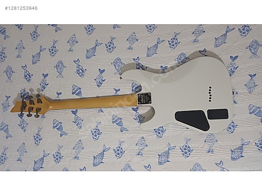 Schecter Elektro Gitar