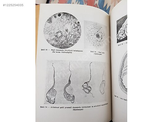 İkinci El ve Sıfır Alışveriş / Antika / Kitap & Belge