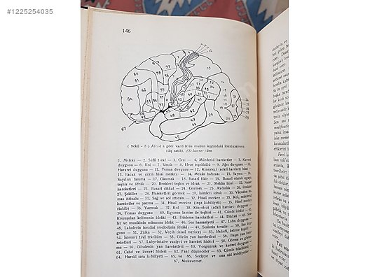 Satılık Antika Antika Kitap