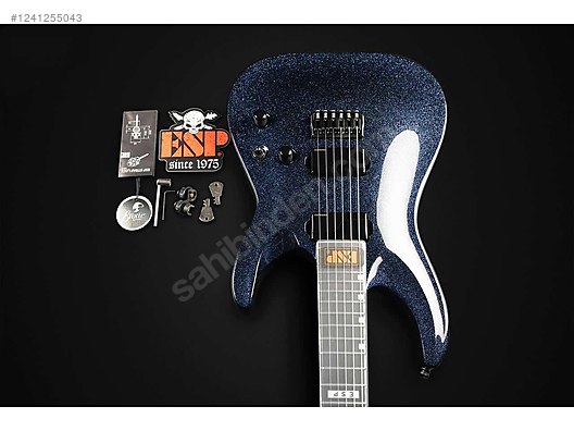 ESP Elektro Gitar