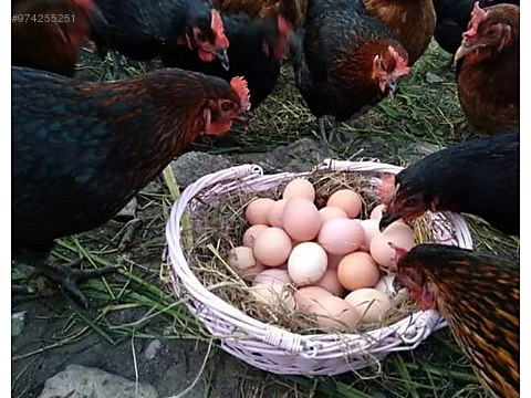 B Trz9vtrw0t0m B Trz9vtrw0t0m