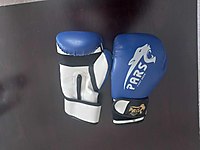 Kickboks ekipmanları