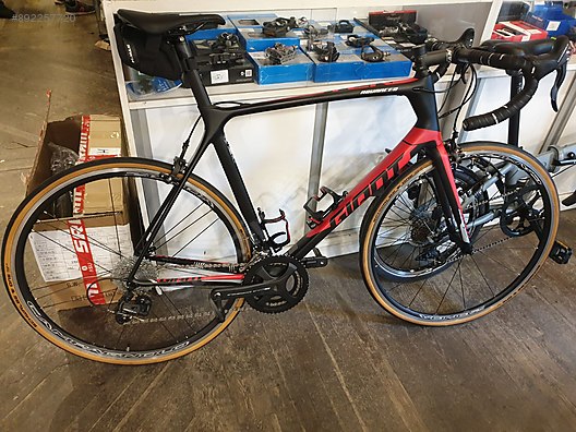 giant tcr campagnolo