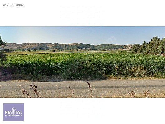 RSMUTLU MUSTAFAKEMALPAŞA GÜLLÜCE 1140M2 İZMİRYOLUNA CEPHE ARAZİ
