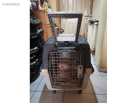 Hayvanlar Alemi / Aksesuarlar / Köpek / Taşıma