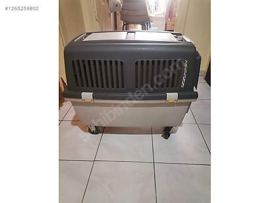 Hayvanlar Alemi / Aksesuarlar / Köpek / Taşıma