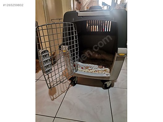 Hayvanlar Alemi / Aksesuarlar / Köpek / Taşıma