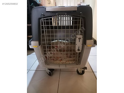 Hayvanlar Alemi / Aksesuarlar / Köpek / Taşıma