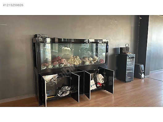 İTHAL YUEMEİ DENİZ AKVARYUMU on sahibinden.com - 1215259826