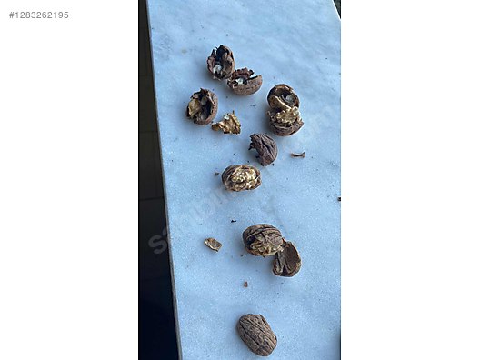 Used & Brand New Items / Foods & Feed / Dried Nuts